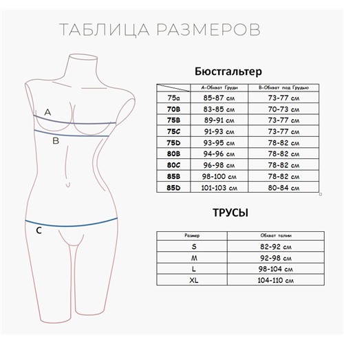 2082WXY Комплект нижнего белья INDEFINI Размер 80B
