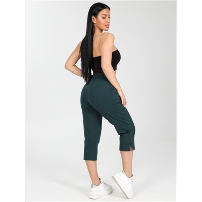 Портленд - бриджи темно-зеленый