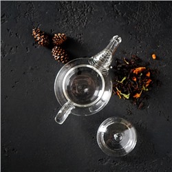 Чайник заварочный «Дамбо», 100 мл, стекло, с металлическим ситом, прозрачный