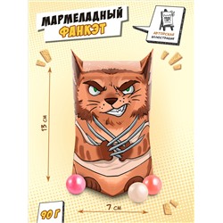 Фанкэт, КОТОМАХА. мармелад, 100 гр., TM Chokocat