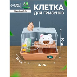Клетка для грызунов «Пижон», с наполнением 37×27×30 см, коричневая