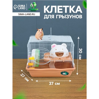 Клетка для грызунов «Пижон», с наполнением 37×27×30 см, коричневая