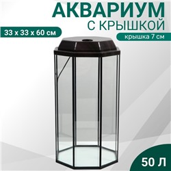 Аквариум «Восьмигранный» с крышкой, 50 л, 33×33×60/67 см, венге