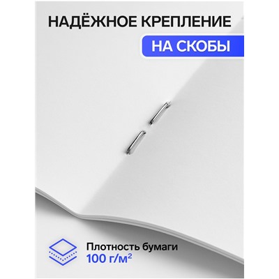 Альбом для рисования Calligrata А4, 40 листов на скрепке, обложка мелованный картон, внутренний блок офсет 100 г/м², МИКС