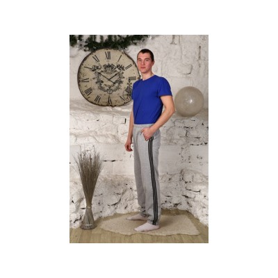 М-9 Брюки спортивные "Светлый"