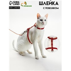 Комплект амуниции «Жаккард», поводок 120×1 см, красный