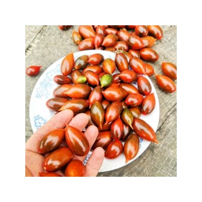 Помидоры Тигровая Зебра — Tiger zebra Tomato (10 семян)