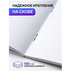 Альбом для рисования Calligrata А4, 20 листов, на скрепке, МИКС