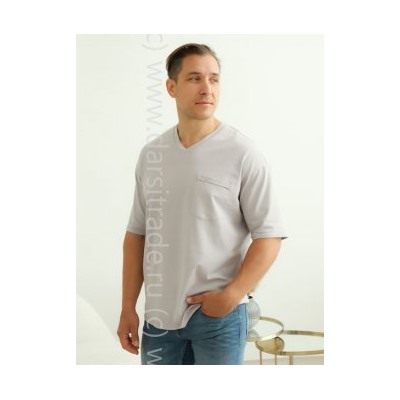 Футболка мужская №1900M-20050 Almando Melado Дроп