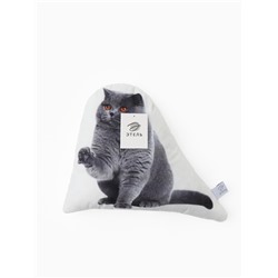 Подушка декоративная «Этель» British cat, 40×33 см, велюр