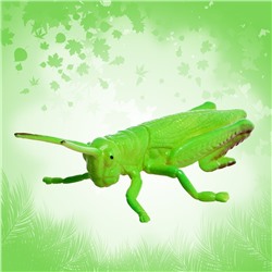 Набор насекомых «Лес», 8 фигурок, длина 12 см