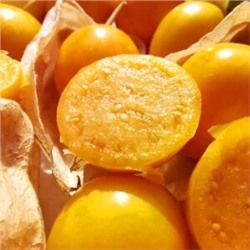 Физалис ФРУКТОВЫЙ Индийский РАСБХАРИ ЯГОДЫ ИНКОВ — Rasbhari Inca Berries (10 семян)