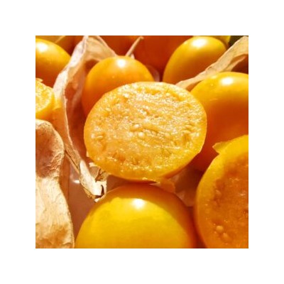 Физалис ФРУКТОВЫЙ Индийский РАСБХАРИ ЯГОДЫ ИНКОВ — Rasbhari Inca Berries (10 семян)