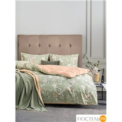 CASSIA АЙЛА КПБ 200х210-1/230х250-1/50х70-2, 4 пр., хл./сатин