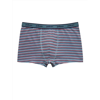 PELICAN Трусы BUHB3378(2)