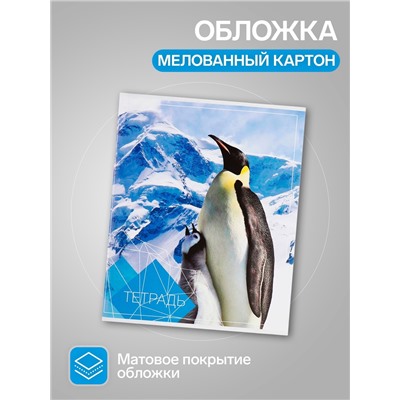 Набор тетрадей, 96 листов в клетку, Calligrata «Животные», серые листы, 4 штук