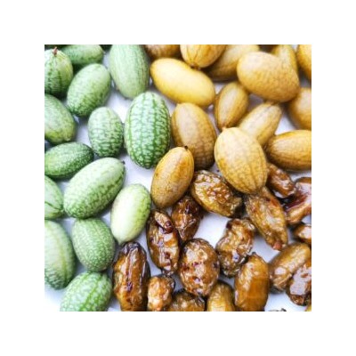 Кукамелон — Мексиканский Огурчик — Cucamelon (10 семян)