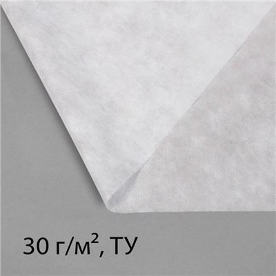 Материал укрывной, 10×1.6 м, плотность 30 г/м², спанбонд с УФ-стабилизатором, белый, Greengo, Эконом 30%