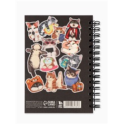 Записная книжка А6, 100 листов, в клетку «Мемные коты»