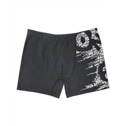 3948 Боксеры для мальчика многоцвет (BAYKAR)