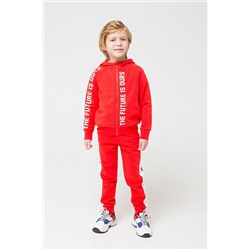 Костюм (Брюки+Толстовка) #219925