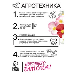 Семена цветов Бегония вечноцветущая "Сенатор F1", смесь, О, 10 шт