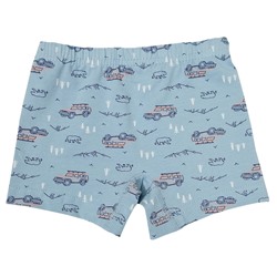 3428 Боксеры для мальчика многоцвет (BAYKAR)