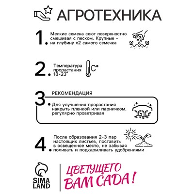 Семена Гвоздика бородатая "Жоржетта", ц/п,  махровая, смесь, ХИТ х3, 0,1 г
