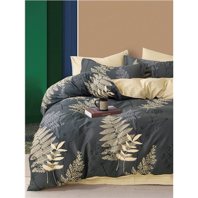 Текс-плюс КПБ Общий