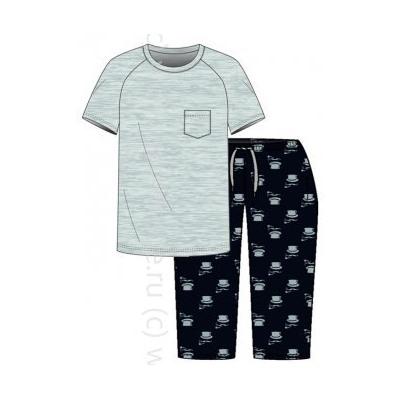 Футболка мужская №2727M-20197 Gentleman Almando Melado Дроп