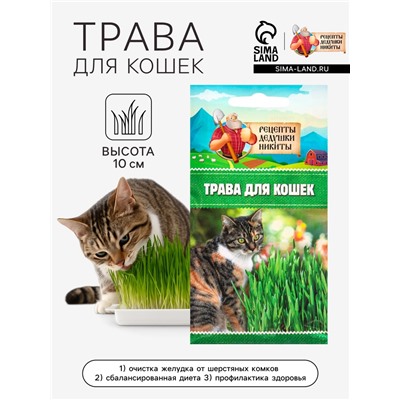 Семена Трава для кошек, 10 г, «Рецепты дедушки Никиты»