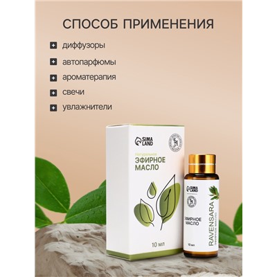 Эфирное масло «Равенсара», 10 мл, с пипеткой
