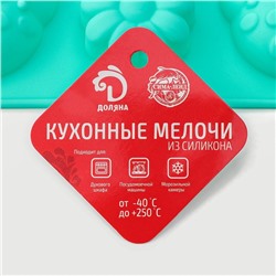 Форма для шоколада Доляна «Пыльца», силикон, 29×17 см, 15 ячеек (4.8×4 см), бирюзовая