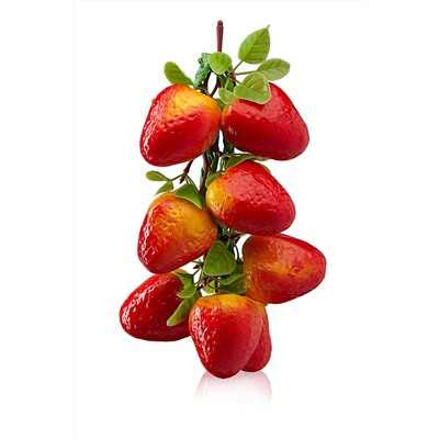 Связка плодов клубники "Бонди" #187704