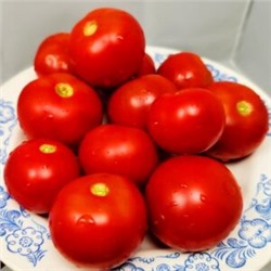 Помидоры Верблюжёнок Трудяга — Camel Hardworker Tomato (10 семян)