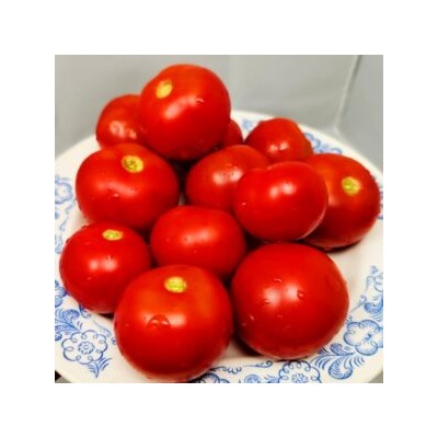 Помидоры Верблюжёнок Трудяга — Camel Hardworker Tomato (10 семян)