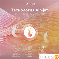 CASSIA ЛЮКС Страйп Сатин бел К-т Наволочек 70x70-2, 2 пр., хл/сатин