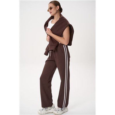Брюки спортивные Юнис (шоколадный)