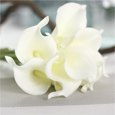 Каллы MW01501, минимальный заказ 3 шт