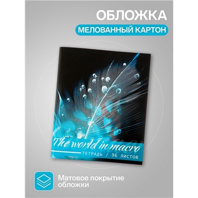 Набор тетрадей, 96 листов в клетку Calligrata «Макро», 4 штуки