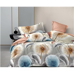 Постельное белье из поплина cтандарт ПВ30-1476