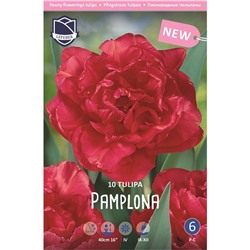 Тюльпан Памплона (11/12) 10шт махровый красный