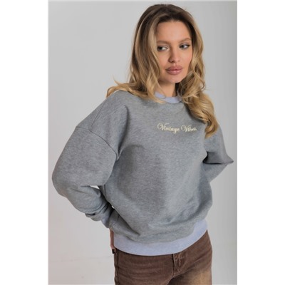 Толстовка М325277ВШс