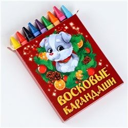 Ёлочные шары под раскраску «Новый год! Праздник в каждый дом», 2 шт., d = 7 см, набор для творчества