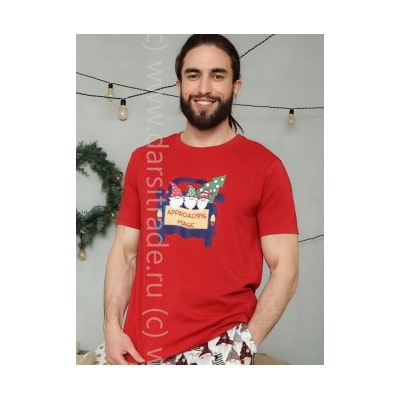 Футболка мужская №3716M-20185 Gnomes Almando Melado Дроп