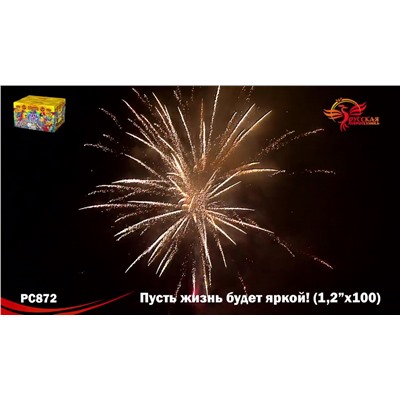 Фейерверк РС8721 Пусть жизнь будет яркой! (1,2" х 99)