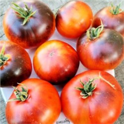 Помидоры Голубой Ананас — Ananas Bleu Tomato (10 семян)