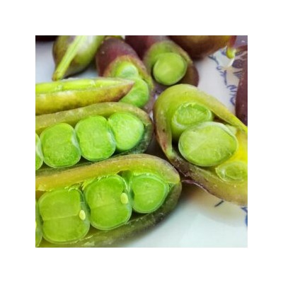 Императорский Чёрный Сахарный Снеп Горох — Imperial Black Sugar Snap Peas (10 семян)