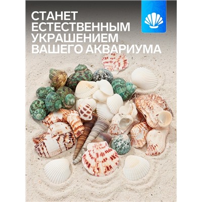 Набор ракушек «Пижон Аква», 200 г, микс №1