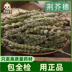 Китайская Мелисса Цзин Цзе Суй (Jing Jie) — 荆芥 — Schizonepeta Tenuifolia (20 семян)